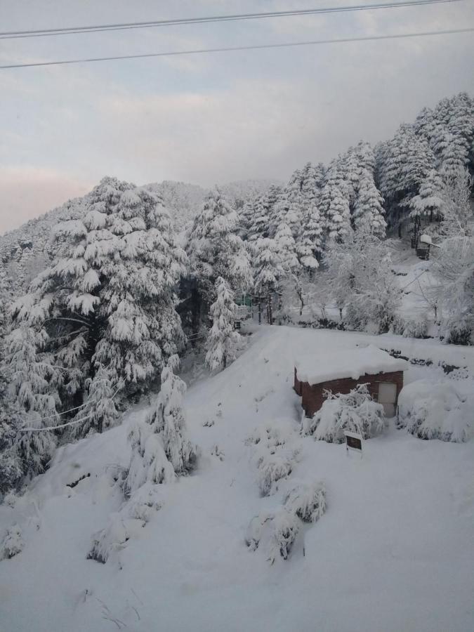 Hotel Green Orchid Udhampur Dış mekan fotoğraf