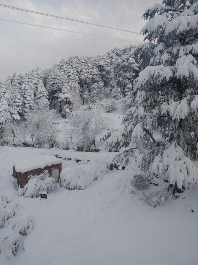 Hotel Green Orchid Udhampur Dış mekan fotoğraf