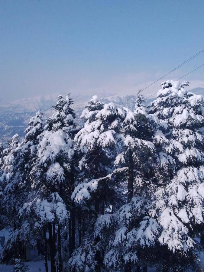 Hotel Green Orchid Udhampur Dış mekan fotoğraf